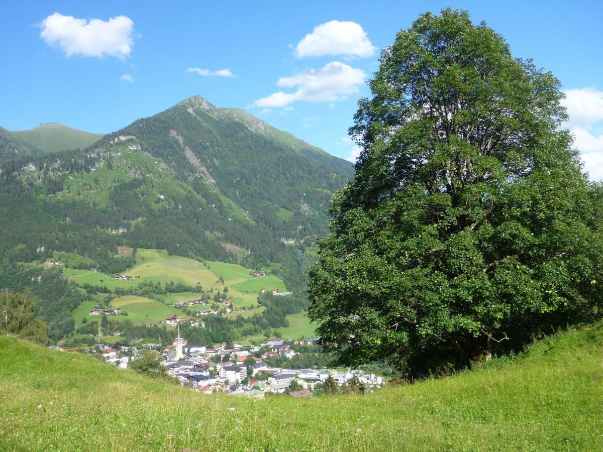 Biohof Maurachgut Villa Bad Hofgastein Dış mekan fotoğraf