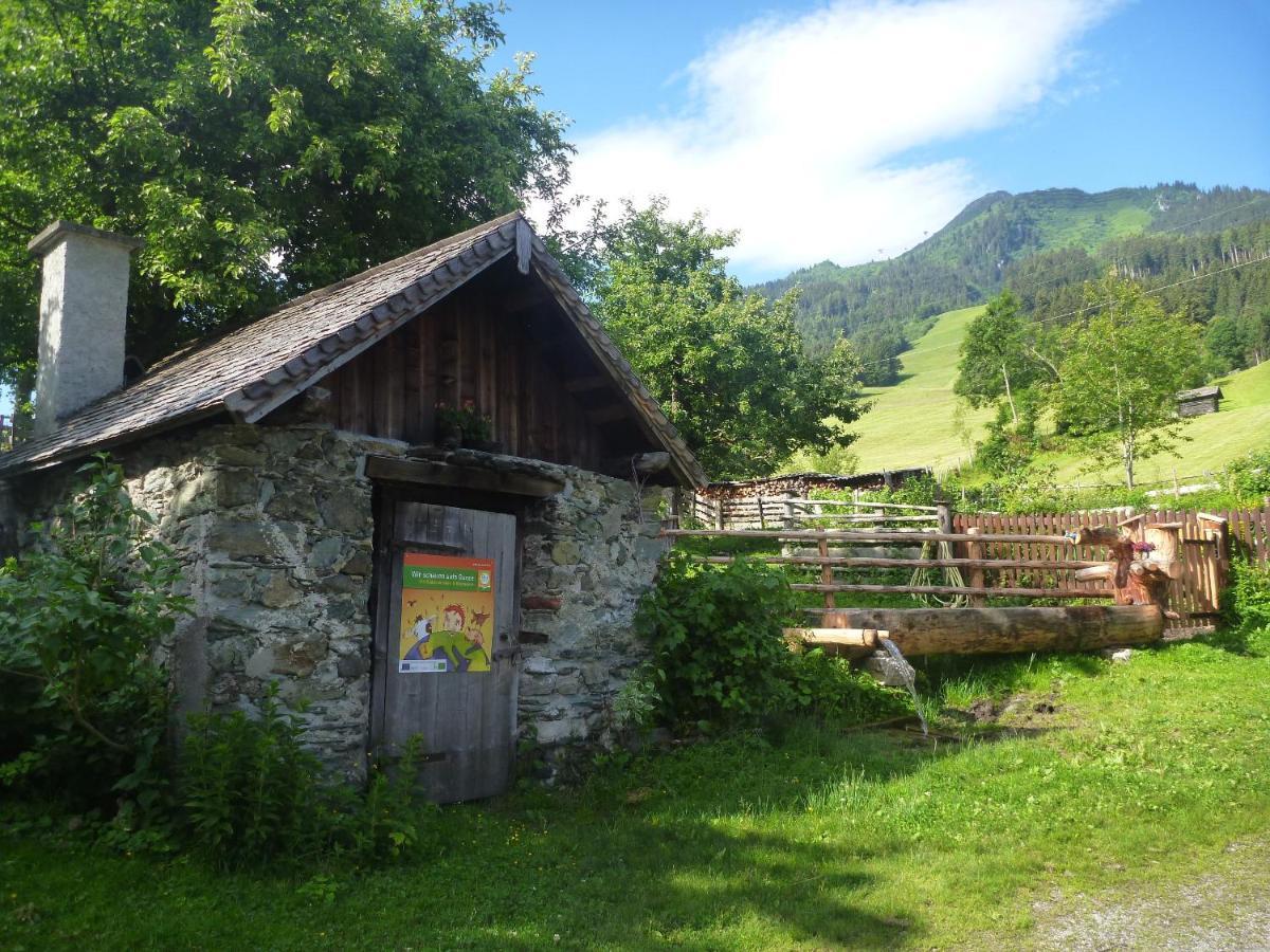 Biohof Maurachgut Villa Bad Hofgastein Dış mekan fotoğraf